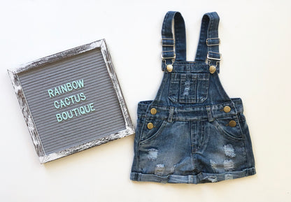 DISTRESSED OVERALLS